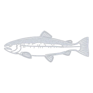 A detailed aluminum wall art piece of a salmon with an inverted skin pattern, shown in profile. The metallic sheen contrasts against a black background.
